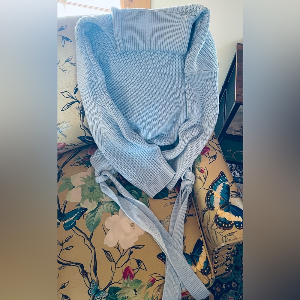 Jason Wu Collective Baby Blue Oversized Turtleneck Sweater - Picture 7 of 10